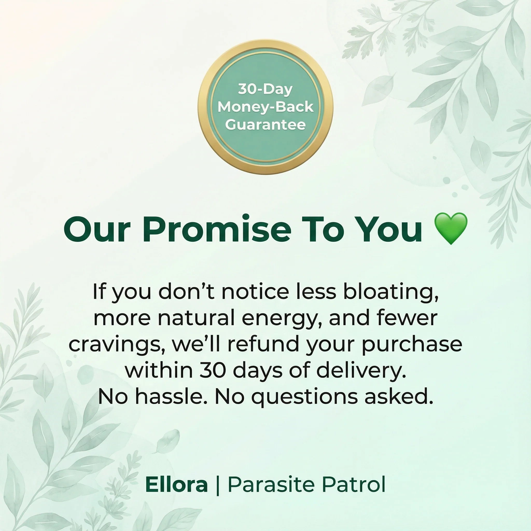 Ellora Parasite Cleanse - Image 11